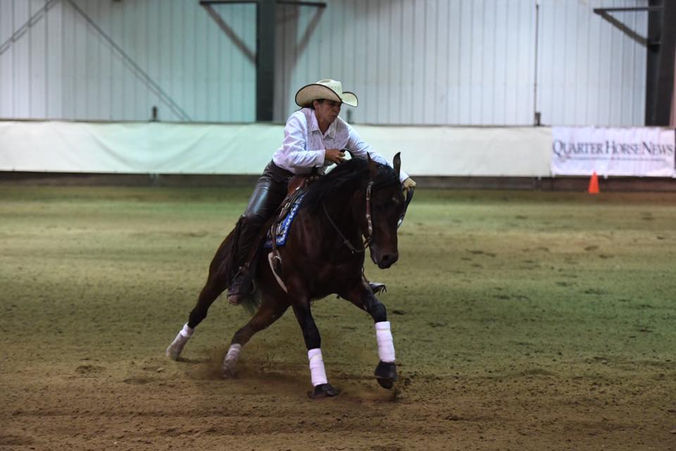 Horses For Sale JM Performance Horses